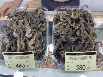 Authentic Dried Sea Horse Carefully Preserved For Long Lasting Quality And Cheap Price For Global Buyers from CPW TRADE LTD Authentic Dried Sea Horse Carefully Preserved For Long Lasting Quality And Cheap Price For Global Buyers - CPW TRADE LTD - United Kingdom