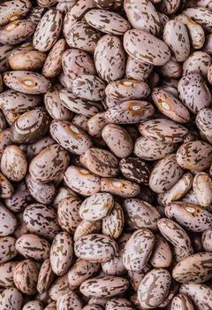 Pinto beans for sell Size Large Size Live Insects Nil Features Organic Origin Uzbekistan Broken Beans Maximum 2% Foreign Matter Maximum 1% - Timberteca - Uzbekistan
