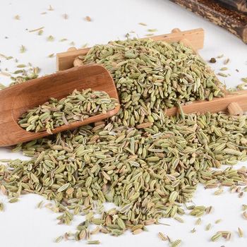 Bulk Fennel Seeds for Export – Premium Grade Natural Fennel Seeds with Strong Aroma, Sweet Flavor, and High Purity for Spice Markets, Food Production, Herbal Medicine, and Beverage Manufacturing with Competitive Wholesale Pricing and Secure International Shipping - agroturaspzoo - Poland