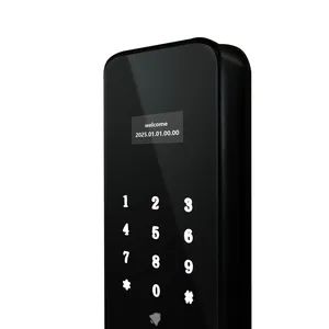Advanced WiFi Digital Electronic Keyless Lock Smart Door Lock with Remote Access - Sichuan Cylomon International Trade Co., Ltd - China