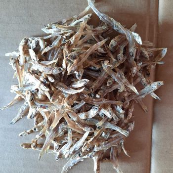 Dried Anchovy Premium Qualilty Origin Indonesia Texture Clean, Firm Max. Moisture (%) 15- 18% Size 2-3cm, 3-4 cm, 5-7 cm - PT. Sampurna Agro Putra - Indonesia
