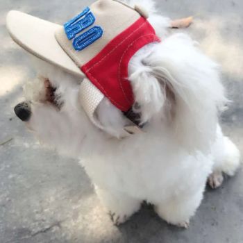 Wholesale Pet Products Amazon Top Seller Pet Hat Sunshade Duck Tongue Hat Dog Baseball Cap Apparel Accessories Supplies Pet Hat - Zhongshan Xiaolan Lianxin Gifts & Arts Factory - China