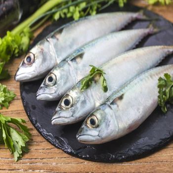 Frozen Mackerel Fish Quality Assured Seafood Product With Fresh Ocean Origin And Professional Packing Excellence - TOSOH INTERNATIONAL - South Africa