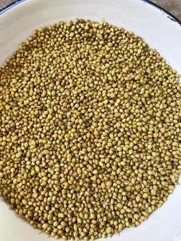 Coriander seeds Eagle Plus - Sinhal Herbs  - India