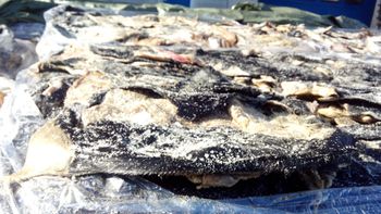 cattle hides and skins from Sawan Worldwide cattle hides and skins - Sawan Worldwide - Italy