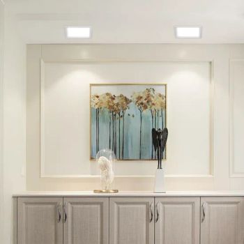 High-Brightness Gp-Lp-002 Square 2200m LED Panel Lights for Shopping Mall Public Areas - Dongguan Light Shines Electric Lighting Co.,Ltd - China