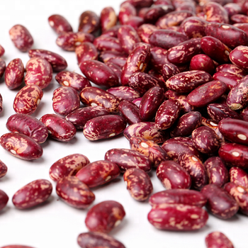 Red kidney Sugar Beans for sale  – product photo, Red Speckled Sugar Beans products found from trusted suppliers, wholesalers, manufacturers & exporters Listing