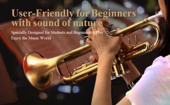 Professional Bb Tone Trumpet Brasswind Instrument China Trumpet - Guangzhou Vines Musical Instruments Co., Ltd - China