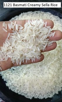 1121 Basmati White Sella Rice (Premium). - Ayora Exports - India
