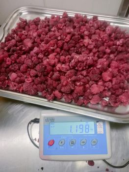 Lampone surgelato Frozen Content Ratio - Merlengo - Italy