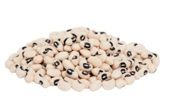Black Eye Beans calibrated - SULTAN AGRO IMPEKS - Uzbekistan