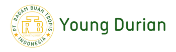 Product - YOUNG DURIAN - Indonesia