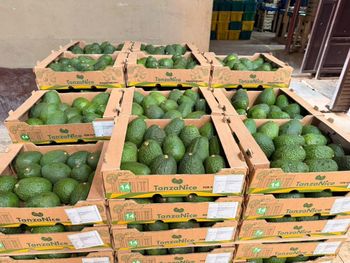 FRESH HASS AVOCADO - TANZANICE AGROFOODS CO.LTD - Tanzania
