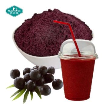 Fruit Extract 100 Natural Freeze Drying Acai Berry Extract Concentrate Juice Powder - Nutrifirst Biotech Inc. - China