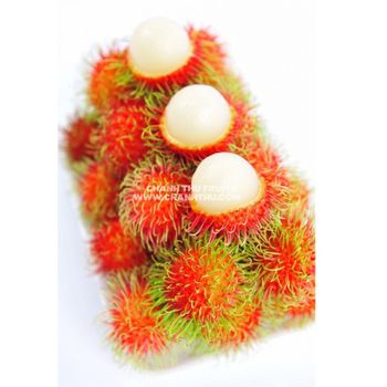 28-35 Pieces/kg Bulk Selling Fresh Fruit Agriculture Products Sweet Taste Carton Box Rambutan From Vietnam - CHANH THU EXPORT AND IMPORT FRUIT COMPANY LIMITED - Vietnam