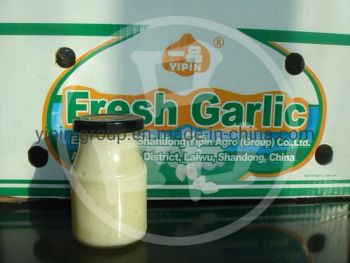 Jarred Packing Minced Garlic Paste for Baking Bread Using Style Paste HS Code 2005999100 Available All The Year Around Origin Shandong Province, - SHANDONG YIPIN AGRO (GROUP) CO., LTD. - China