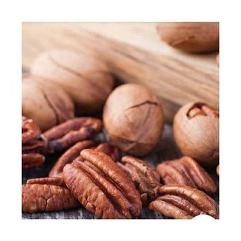 High Quality Pecan Nuts Price Healthy Organic Roasted Pecan Nuts in Wholesale price market - GOLDEN STAR BV - South Africa
