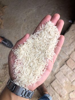 1121 Basmati white rice 2% broken max sortex - PRELUDE COMMODITIES  LTD - Pakistan