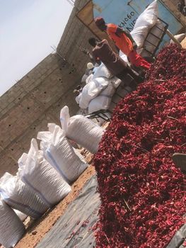 Dried Hibiscus flower - LushCoalhy Agro Export Ltd - Nigeria