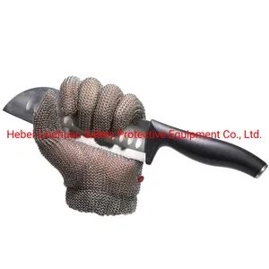 Metal Mesh Gloves/Cut Resistant Gloves /Kitchen Glove - Hebei Linchuan Safety Protective Equipment Co., Ltd. - China