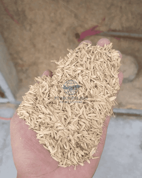 rice husk / sekam padi Packaging pp bag 50kg Certification By Request Type Rice Husk From Local - Pt Archipelago Prime Export - Indonesia