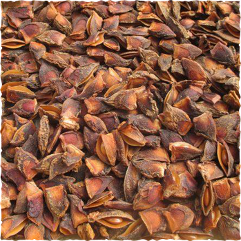 Broken Star Anise Place of Origin Vietnam Packaging 20-30kg PP-PE -  Vinasamex  - Vietnam