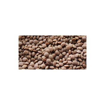 Premium lentil seeds available in bulk ideal for agricultural suppliers and food manufacturers - AMAC GOLD AND DIAMOND METALS SUPPLIER - Germany