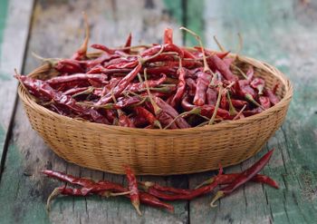 Red Chilli Teja S17 - Jobro Ventures Private Limited - India