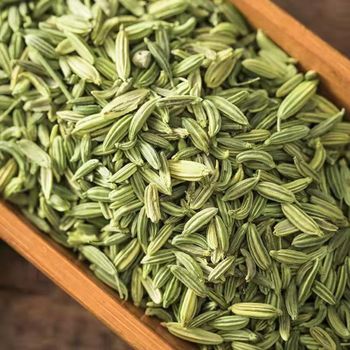 Refined Premium Fennel Seeds Wholesale – Carefully Selected, Naturally Processed, and Hygienically Packed for Culinary, Medicinal, and Industrial Applications with Excellent Purity, Long Shelf Life, Bulk Packaging Solutions, and Reliable Worldwide Distribution Services - agroturaspzoo - Poland