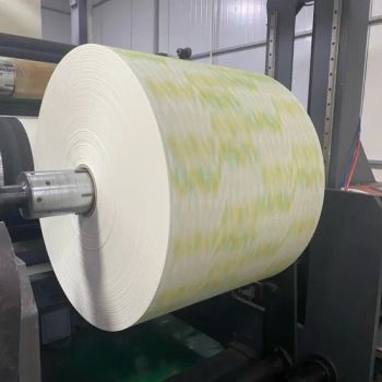 Cupstock Paperboard Coated PE Rolls for Paper Cup - Hangzhou Renmin Eco-Tech Co., Ltd. - China