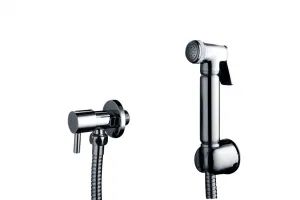 UK and Middle East Market Popular Sale Brass Bidet Shower Shattaf (NA209-12) - TAIZHOU YINADA SANITARY WARE CO., LTD. - China