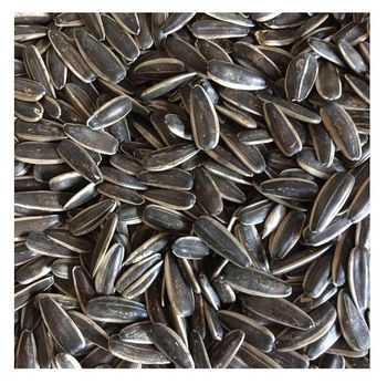 Hight quality organic sunflower seeds original flavor roasted kernels for edible -  CALIPSO POLSKA SP Z OO  - Poland