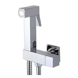 Modern Wall-Mounted Bidet Brass with Stainless Steel Toilet Mate - D&S TECHNOLOGY CO.,LTD - China
