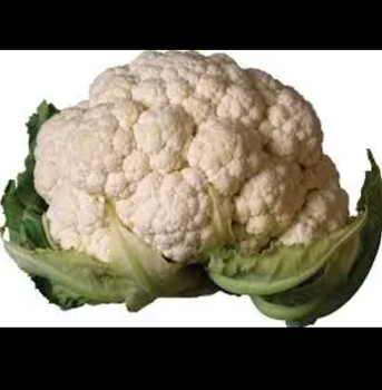 Fresh Cauliflower Grade A Shelf Life 10–15 Days Storage Temperature 0–2°c Packaging 5kg / 10kg Cartons, bag Weight Range 0.5kg–1.5kg Per Head - TRADE NEPAL LLC - United States