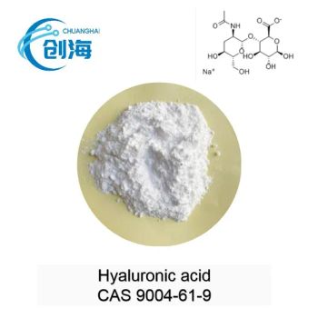 High Quality Cosmetic Grade Hyaluronic Acid CAS 9004-61-9 - Hebei Chuanghai Biotechnology Co., Ltd - China