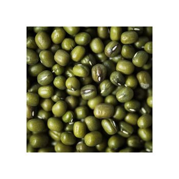 natural green mung beans for sprouting cooking soups curries and stir fry recipes high quality beans rich in plant protein fiber iron and vitamins perfect for vegetarian vegan and healthy diet meals - SATTER FOOD AND BEVERAGE - Netherlands