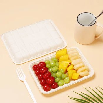 Biodegradable Restaurant Takeout Food Packaging Fresh Disposable Food Trays - Hefei Hyde Environment Protection Technology Co., Ltd. - China