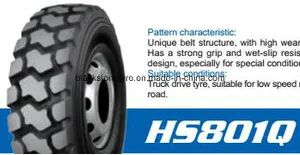 Advance Truck Tire Industrial Tyre11r22.5 Radial Tire Changer - Blackstone International Company Limited - China