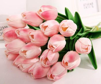 Pink Single Tulip Color Pink Form Single Material Fresh Appearance Soft And Graceful Petals Intended Use Gardens, Arrangements, Symbol Of Grace And Renewal - GTLily - Vietnam