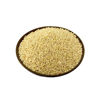 High quality sorghum grains wholesale in bulk packaging for sale - MASI TRADING GMBH - Germany