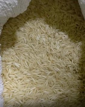 1121 Steam Basmati RIce from Agrir 1121 Steam Basmati RIce - Agrir - India