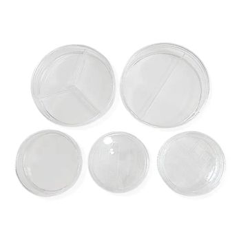 150mm Plastic Petri Dish From Factory for Various Purposes Origin China Diameter 90mm Trademark babio Material Plastic Model NO. Petri Dish - Jinan Babio Biotechnology Co., Ltd. - China