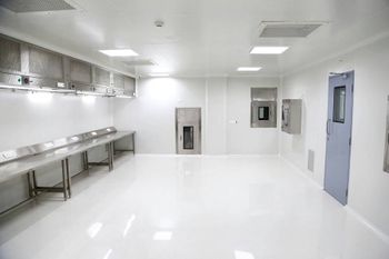 ACE Flushed With Ceiling Clean Room Partition Brand ACE Infill Material Puf Infill Density 38 Kg/m3 Partition Thickness 0.7 - ACE Cleanrooms Private Limited - India