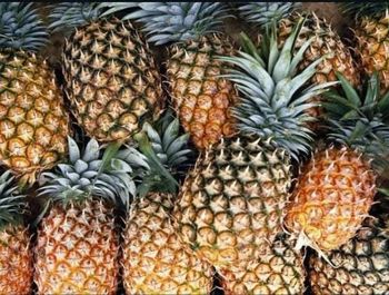 SWEET PINEAPPLES - jmb management - Germany