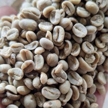 Indonesia Java Preanger Arabica Green Coffee Beans – product photo, Organic Arabica Green Coffee Beans products found from trusted suppliers, wholesalers, manufacturers & exporters Listing