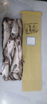 MSC Frozen Alaska pollock H/G - Dobroflot - Russian Federation