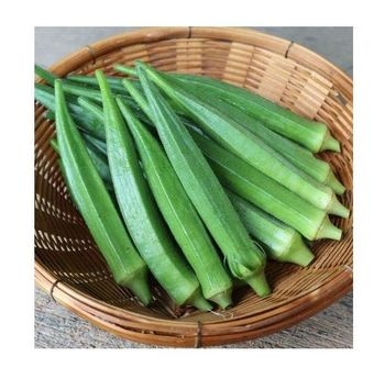 Best Price Fresh Vegetables Okra Bulk Stock Available With Customized Packing  -  CALIPSO POLSKA SP Z OO  - Poland