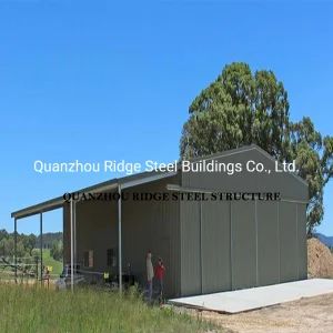 Prefabricated Light Steel Construction Structure Metal Warehouse Garage Carport - Quanzhou Ridge Steel Structure Co., Ltd. - China