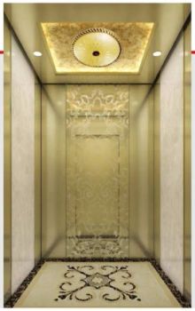 Passenger Home House Villa Elevator Golden Etching Hairline Stainless Steel - SYNEY ELECTRIC GROUP CO.,LTD - China