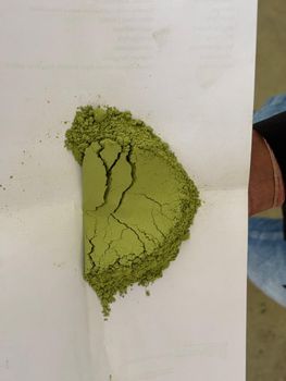 MORINGA LEAF POWDER - swissco foods pvt ltd - India